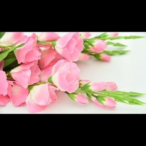 Meet your Posher, Bella